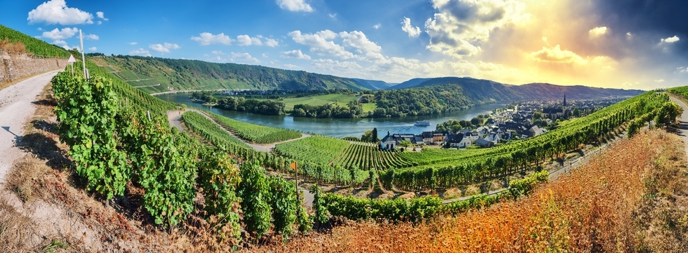 Es muss nicht immer der Rhein sein, die Mittelmosel mit ihren Moselschleifen ist viel beschaulicher