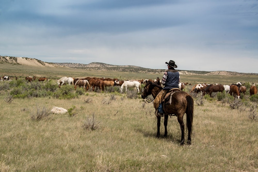 Ranch in den USA
