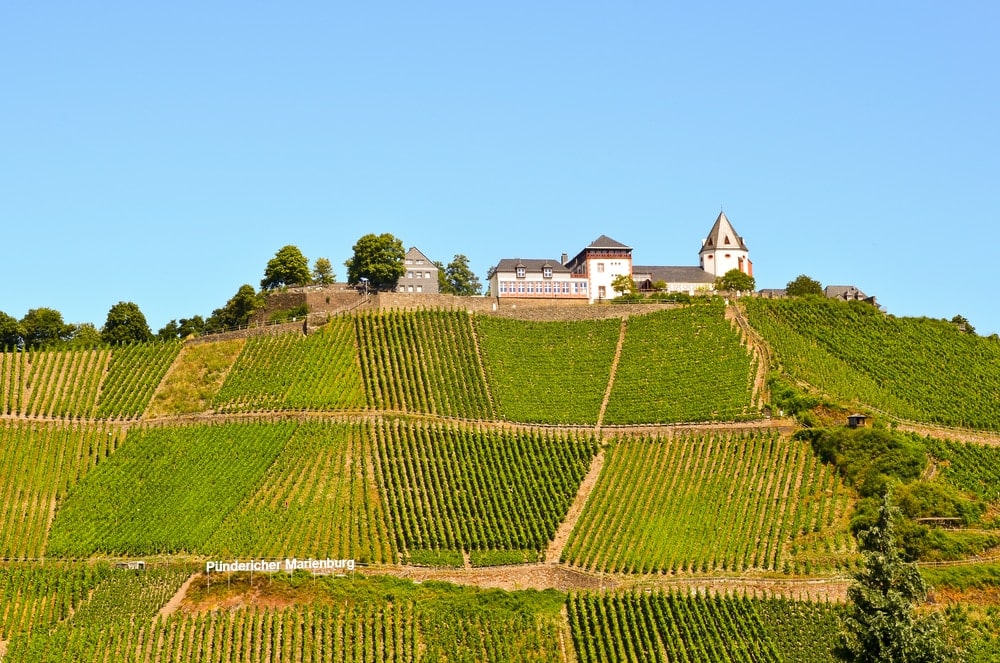 Wunderschöne Marieburg an der Mittelmosel umgeben von Weinbergen