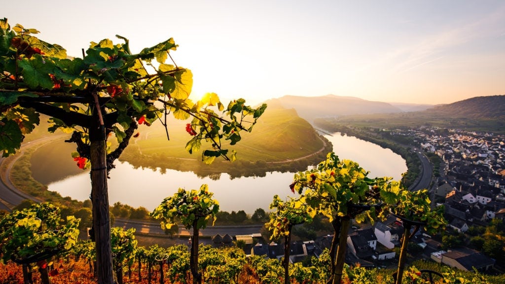 Stadt Bremm an der Mittelmosel in der Calmund-Region