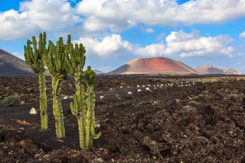 Landschaft auf Lanzarote