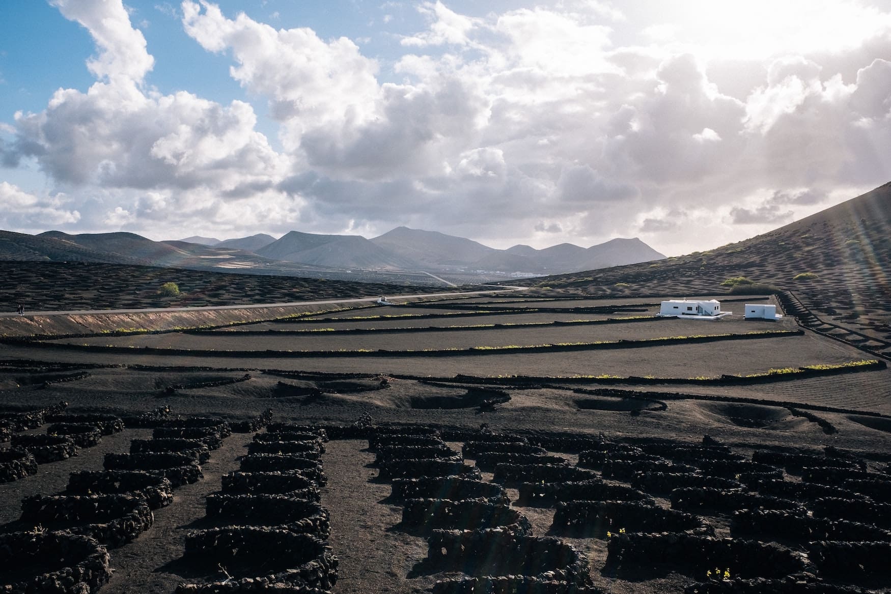 Zu unseren Lanzarote-Tipps zählt auf jeden fall ein Besuch des Weinanbaugebiets La Geria