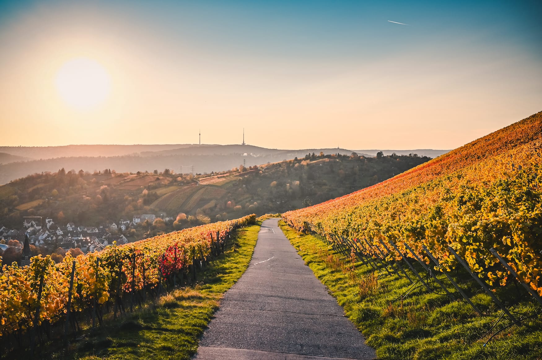 Fahrradtour durch die Weinberge bei Stuttgart
