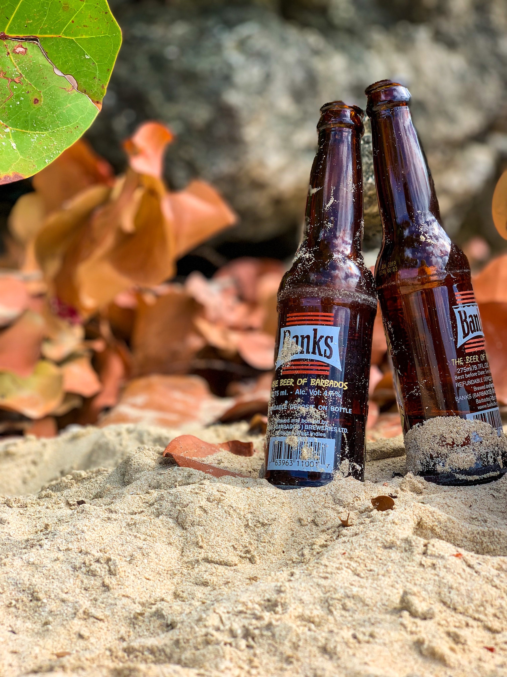 Bank Bier auf Barbados
