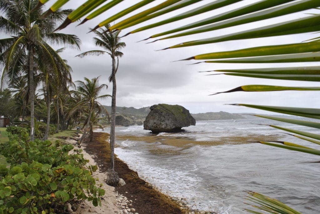 In Bathsheba rollen die Wellen an die Felsen, ein Paradies für Surfer.