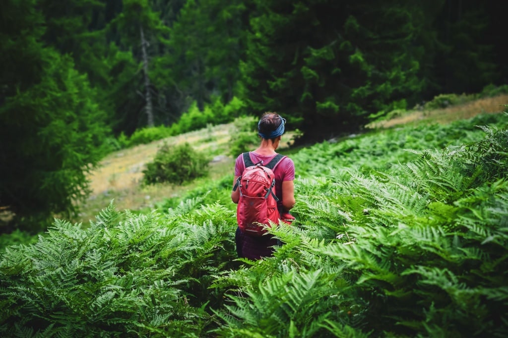 Wir zeigen euch die schönsten Wanderrouten im Vinschgau.
