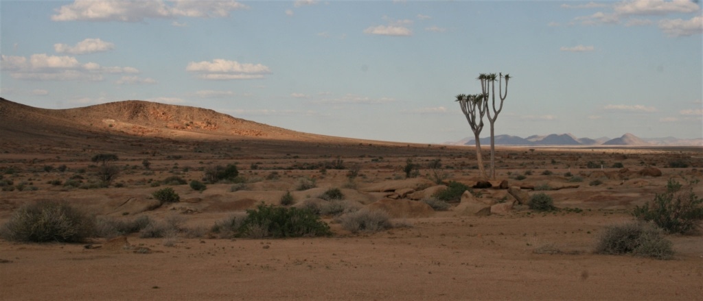 Wer einen Roadtrip durch Namibia plant, der muss sich Auflage Fahrten einstellen - aber die Landschaft entbehrt!