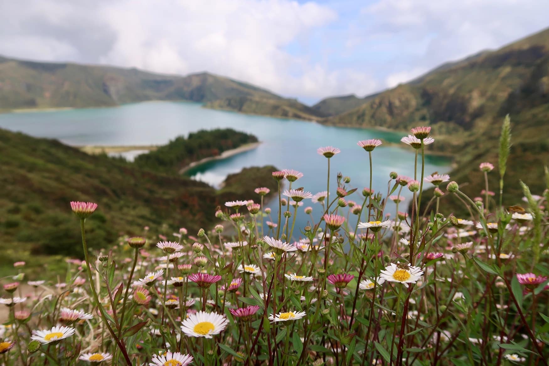Bunte Blumen vor Vulkankrater auf den Azoren