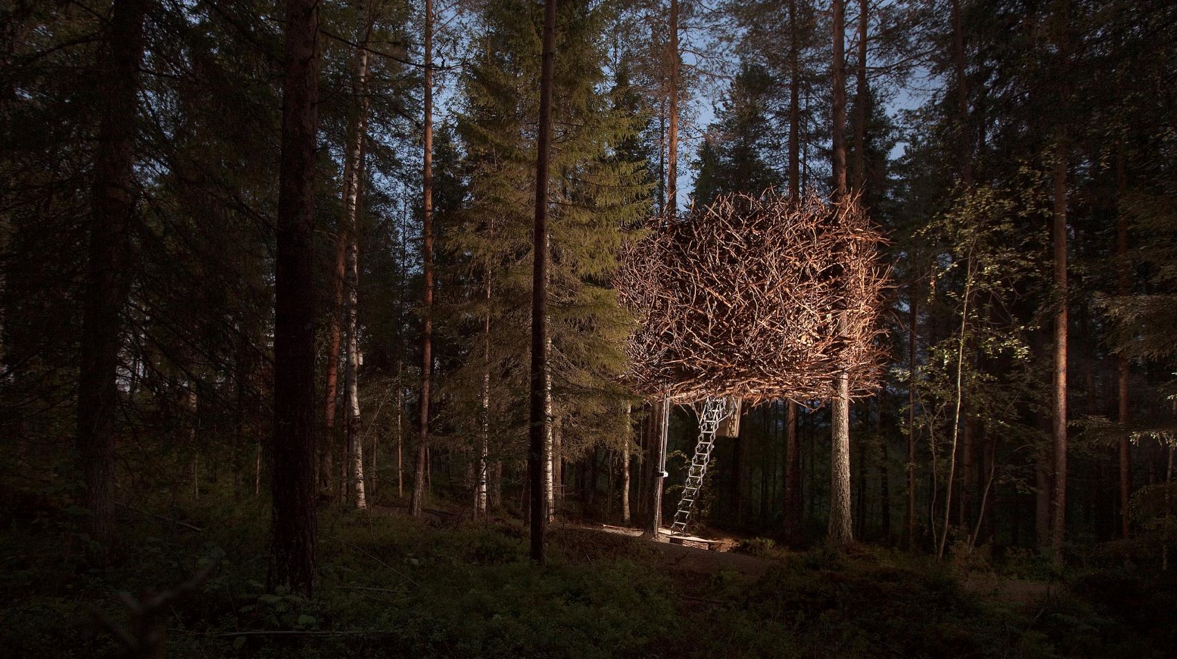 Glamping in Schweden: Birds Nest im Treehotel