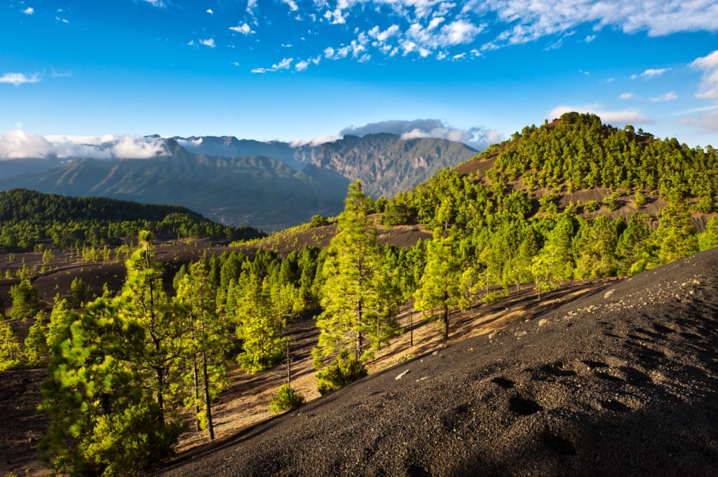 Berge, Wald, La Palma