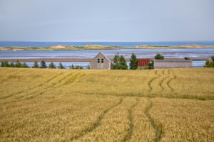 Landschaft in Prince Edward Island