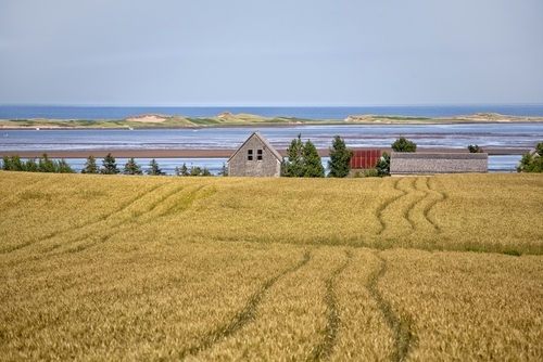 Landschaft in Prince Edward Island