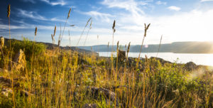 Okanagan Valley