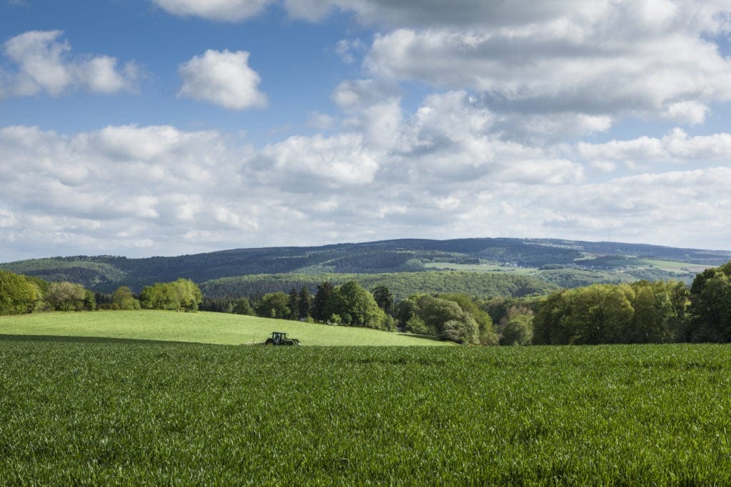 Urlaub im Hunsrück: weite Felder und Wiesen