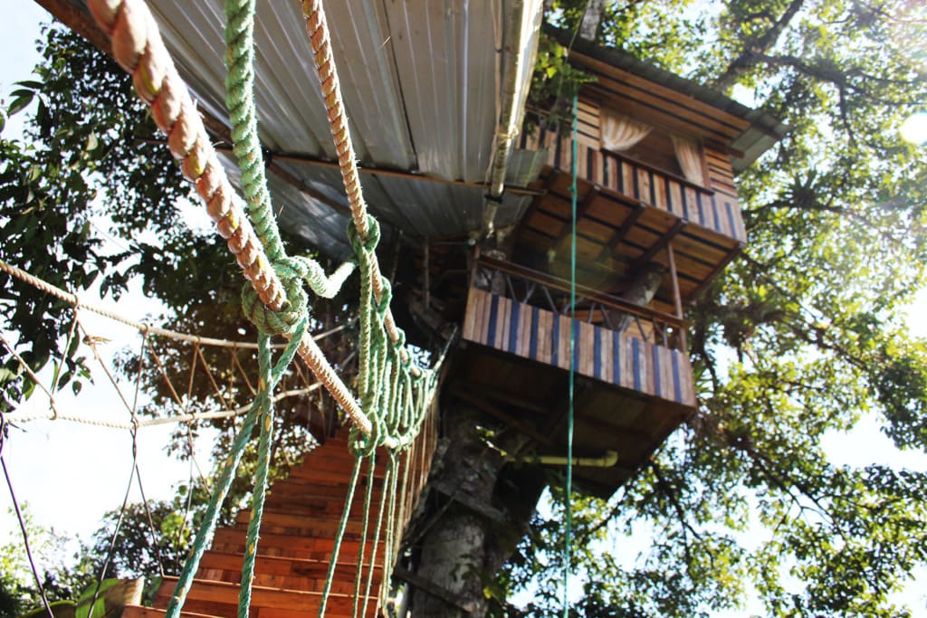El Eden Treehouse Baumhaus Hotel in Ecuador