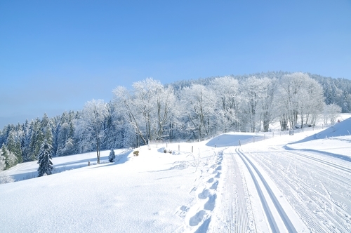 Langlaufstrecke bei Bodenmais im Bayerischen Wald