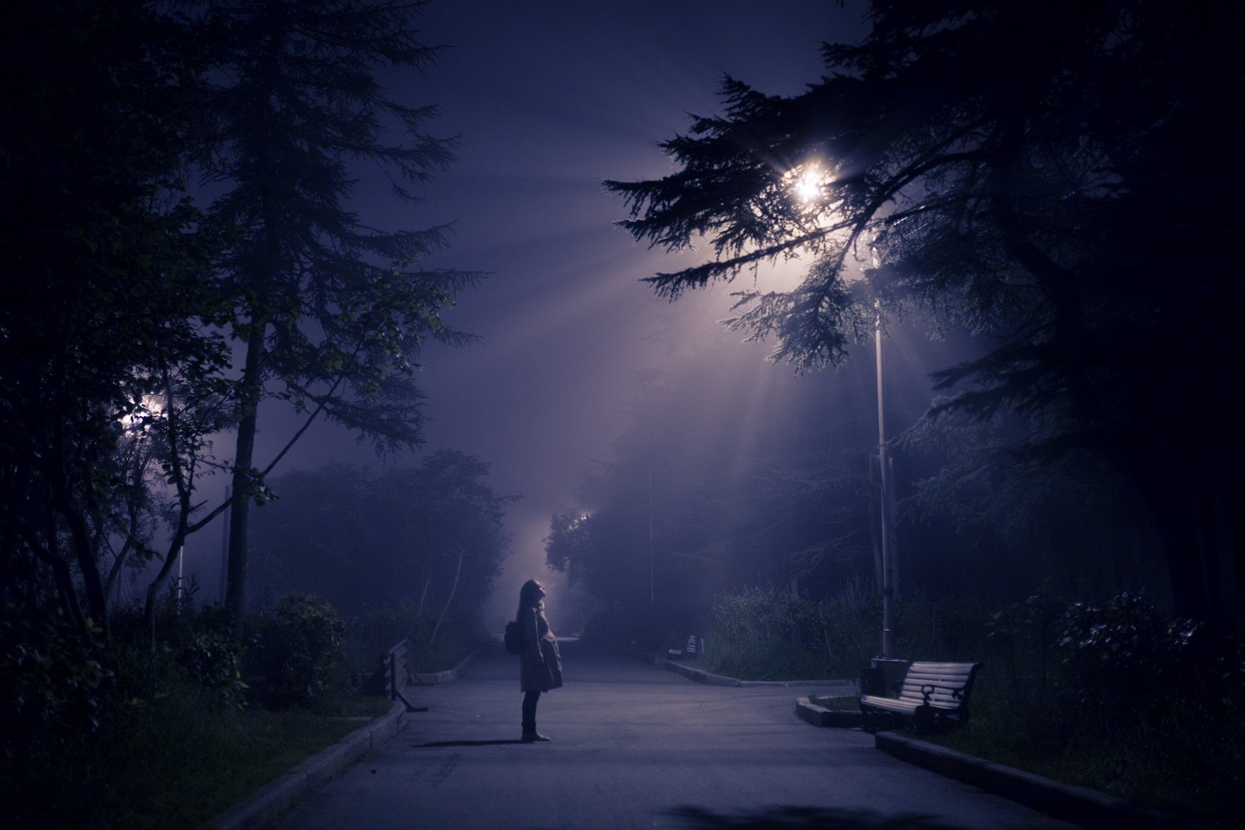 Park bei Nacht