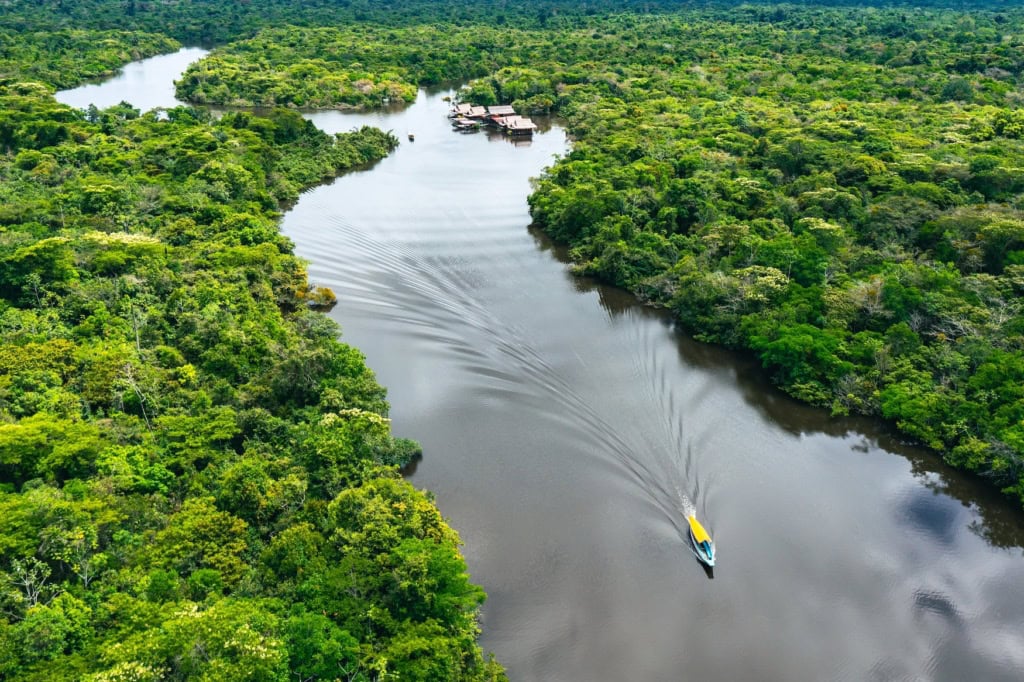 Dschungel von oben beim Amazonas in Peru