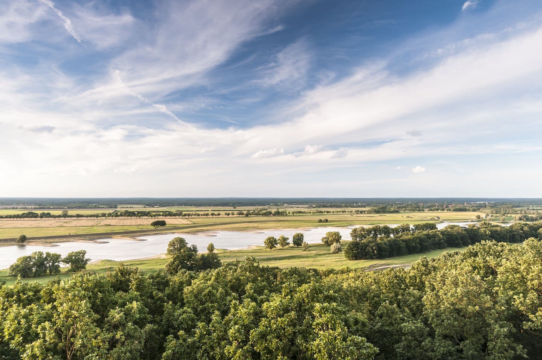 Die Elbe bei Lenzen in der Prignitz