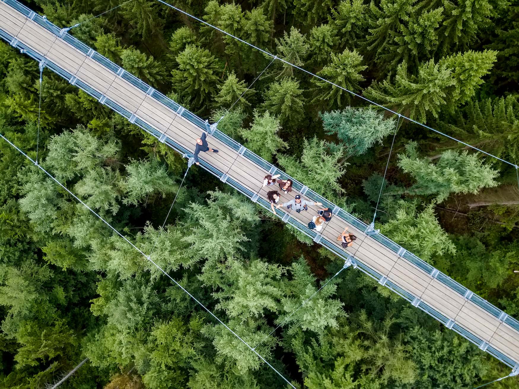 Menschen auf der Hängebrücke Geierlay im Hunsrück
