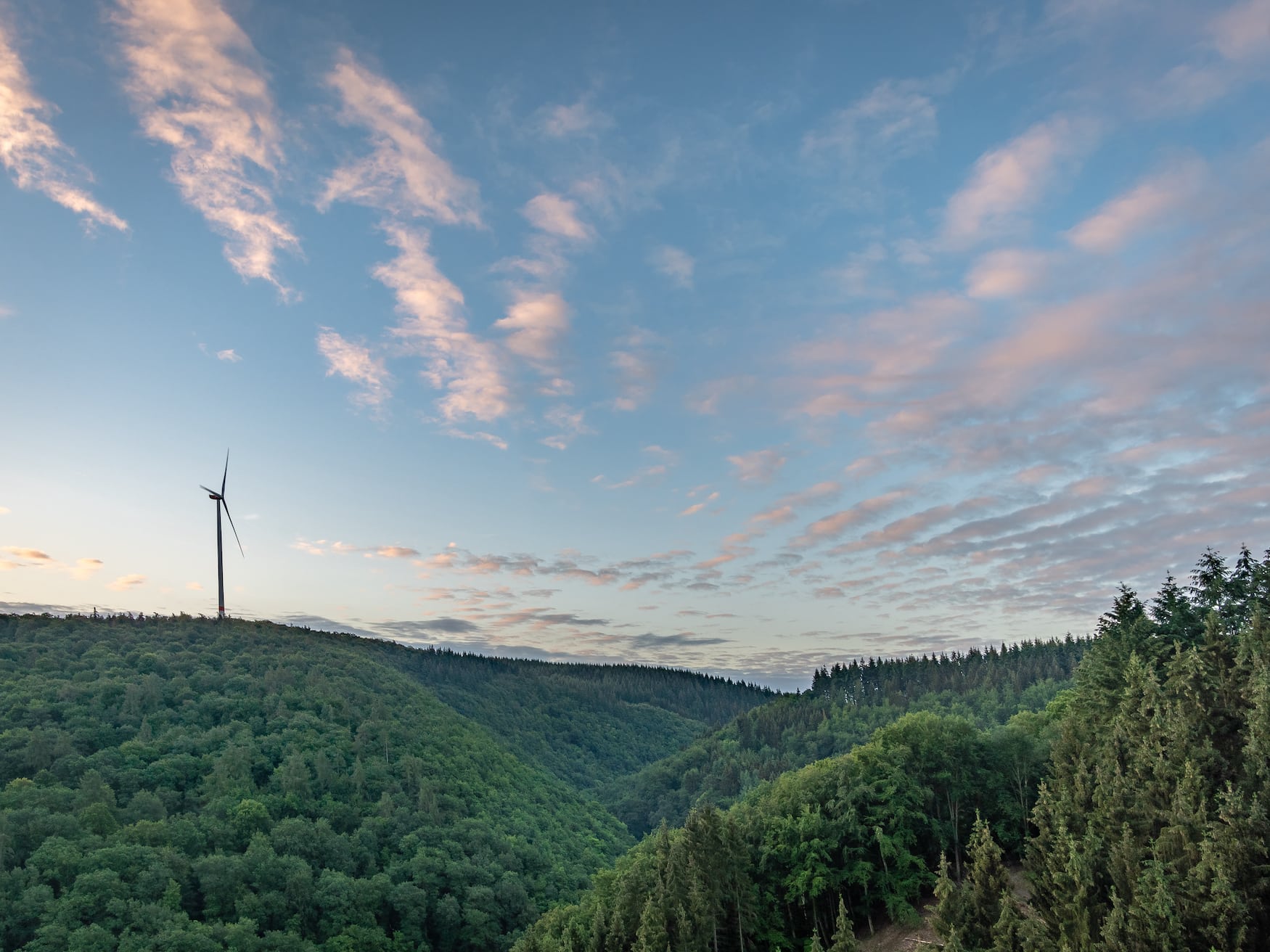 Umgebung der Hängebrücke Geierlay