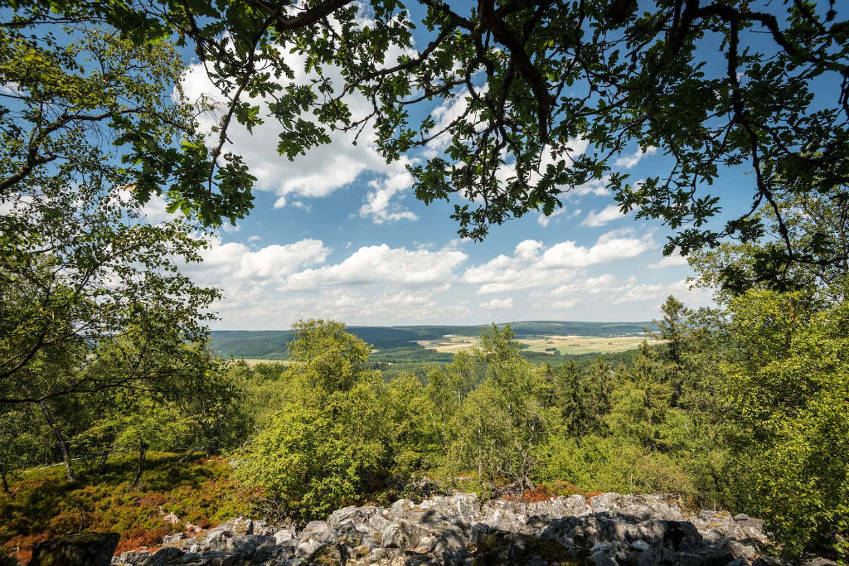Auf der Traumschleife Kirschweiler Festung im Hunsrück