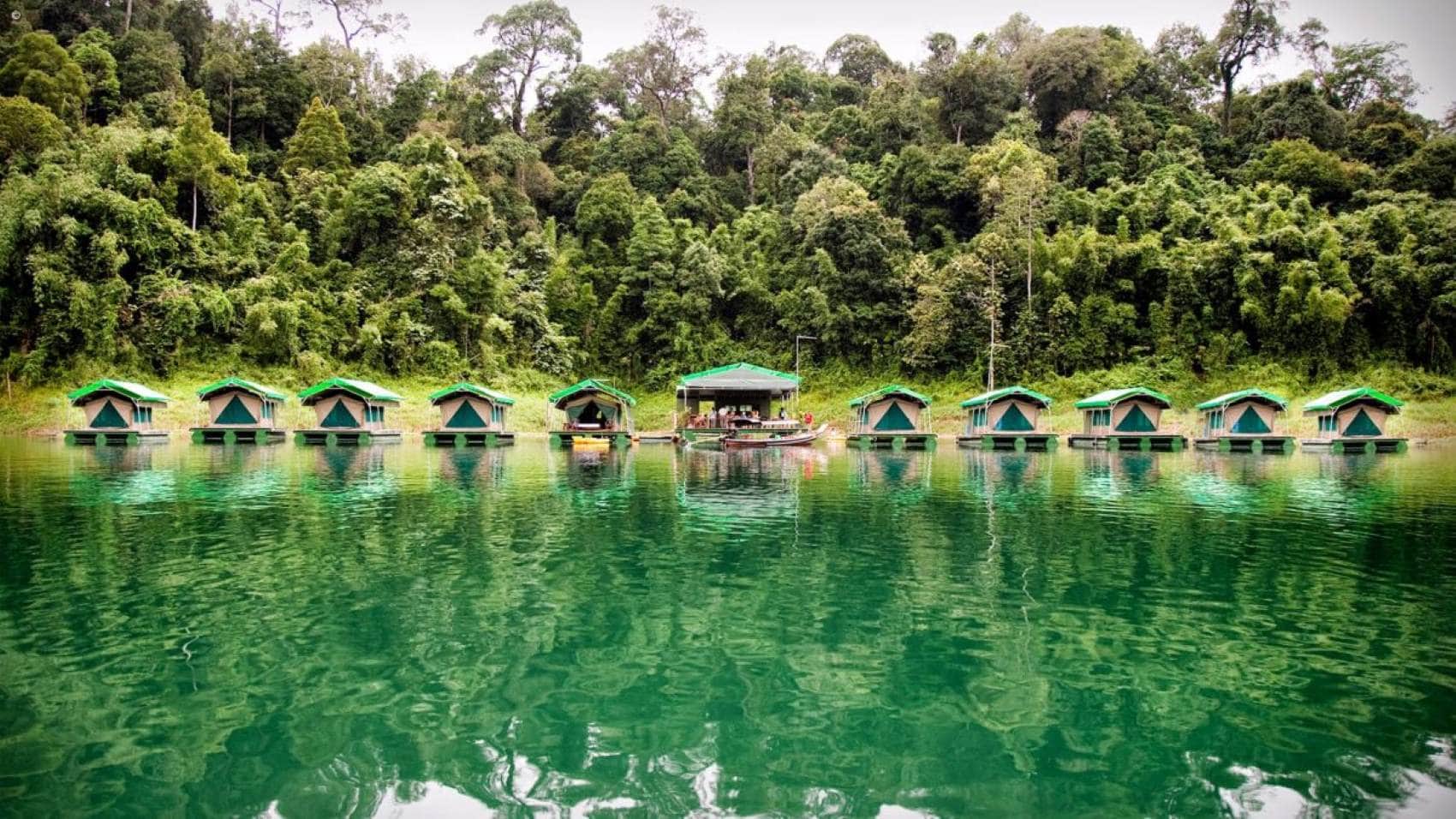 Rainforest Camp in Thailand