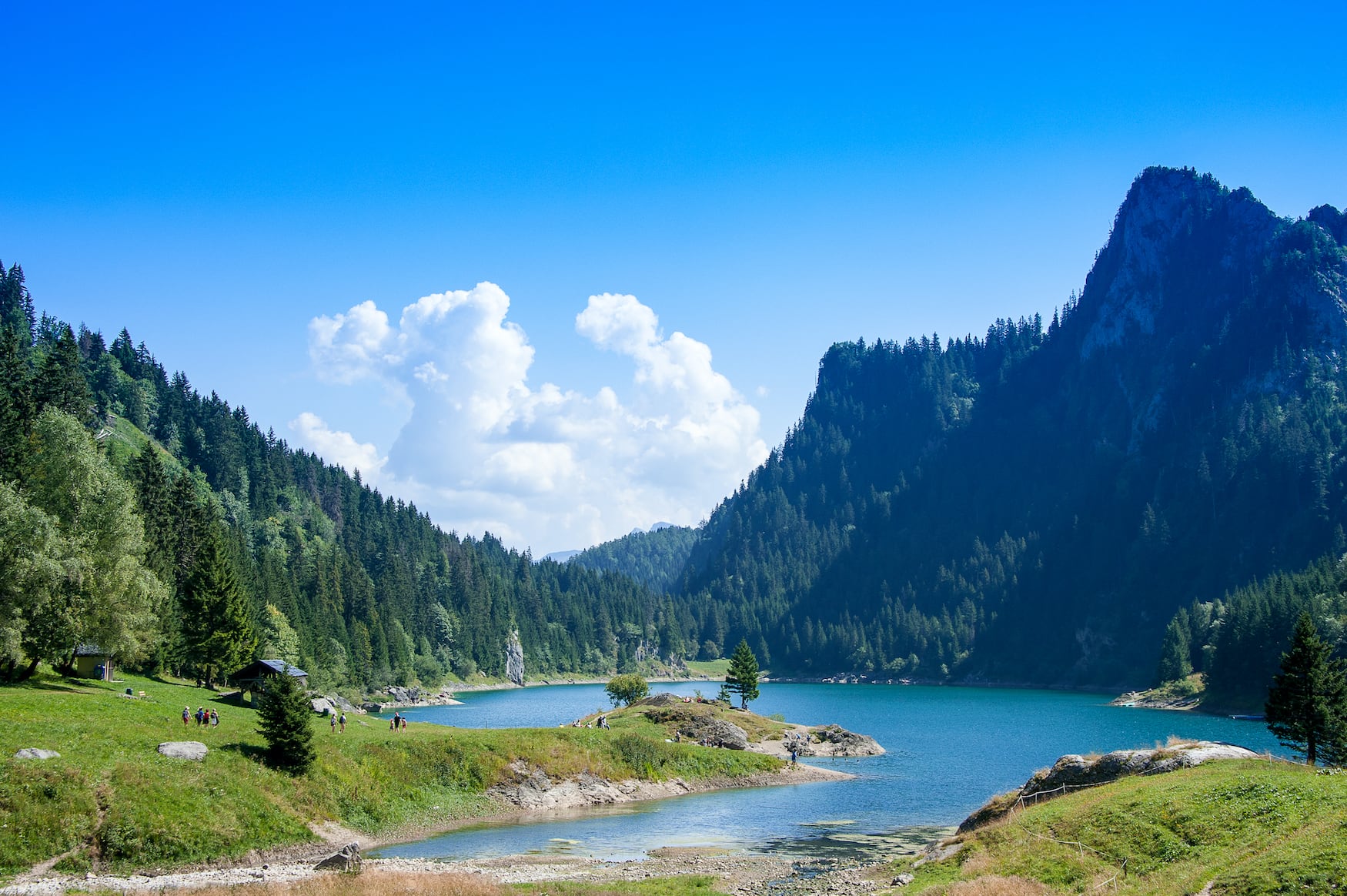 Ruhige Bergseenlandschaft, Lac de Tanay, Schweiz. Klares blaues Wasser eingebettet zwischen grün bewaldeten Gipfeln im Sommer