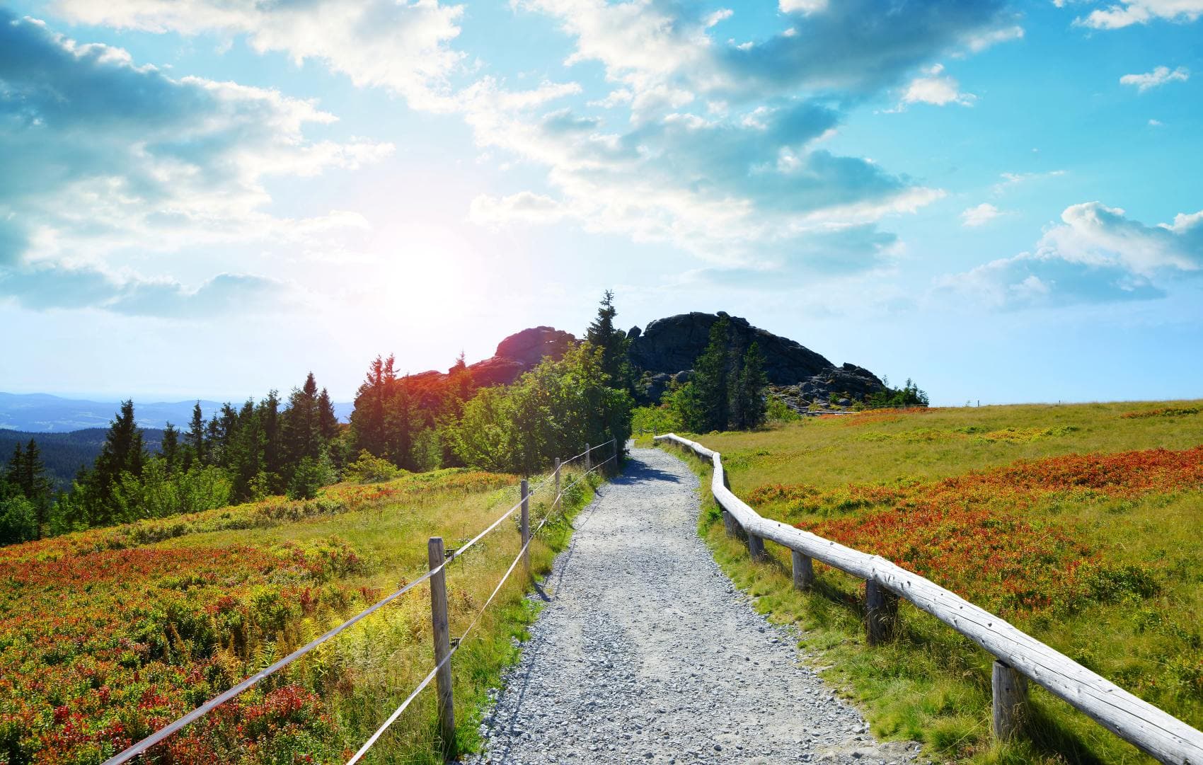 Wanderweg im Bayerischen Wald
