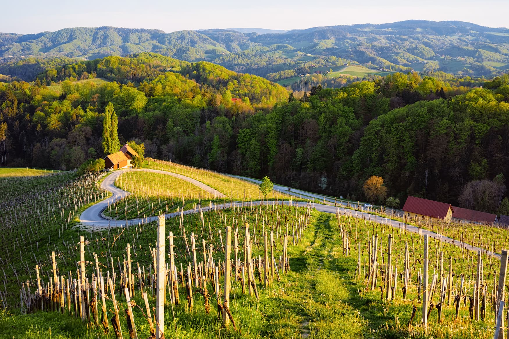 Ein Herz prägt die Weinstraße zwischen den Weinbergen in Slowenien. Malerische Landschaft und Natur in der Nähe von Maribor in Slovenija.