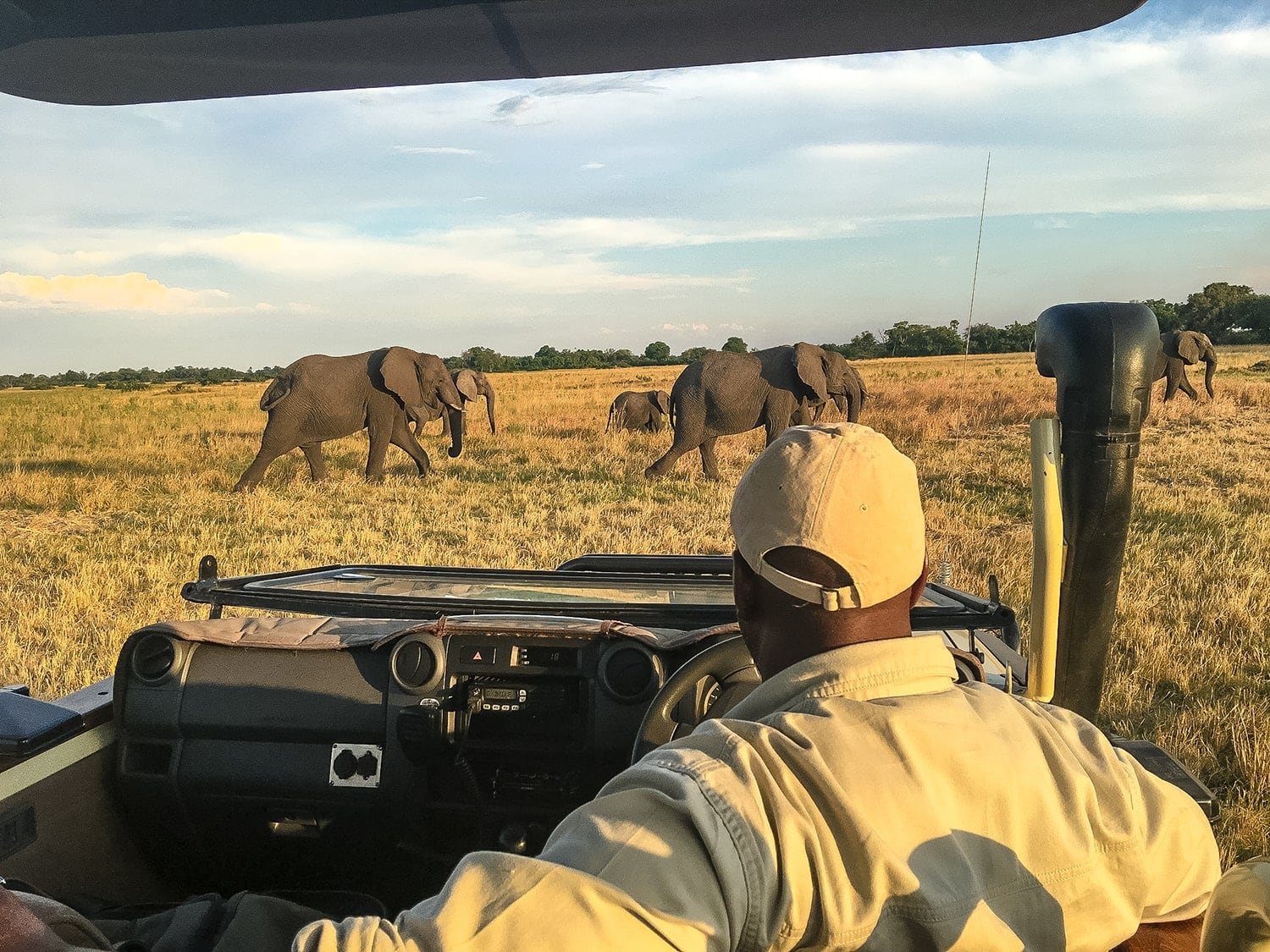 Elefanten während einer Jeep-Safari im Zebras im Okavangodelta in Botswana