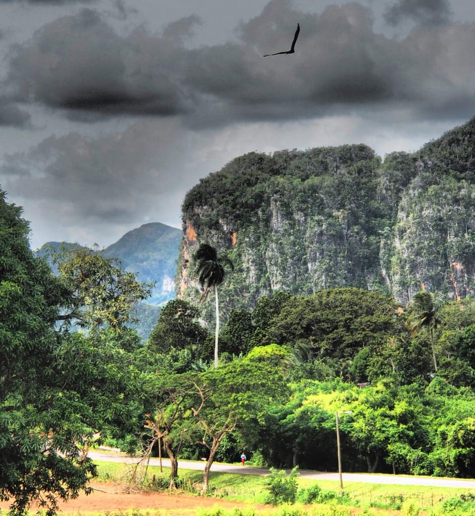 Tabakregion Viñales