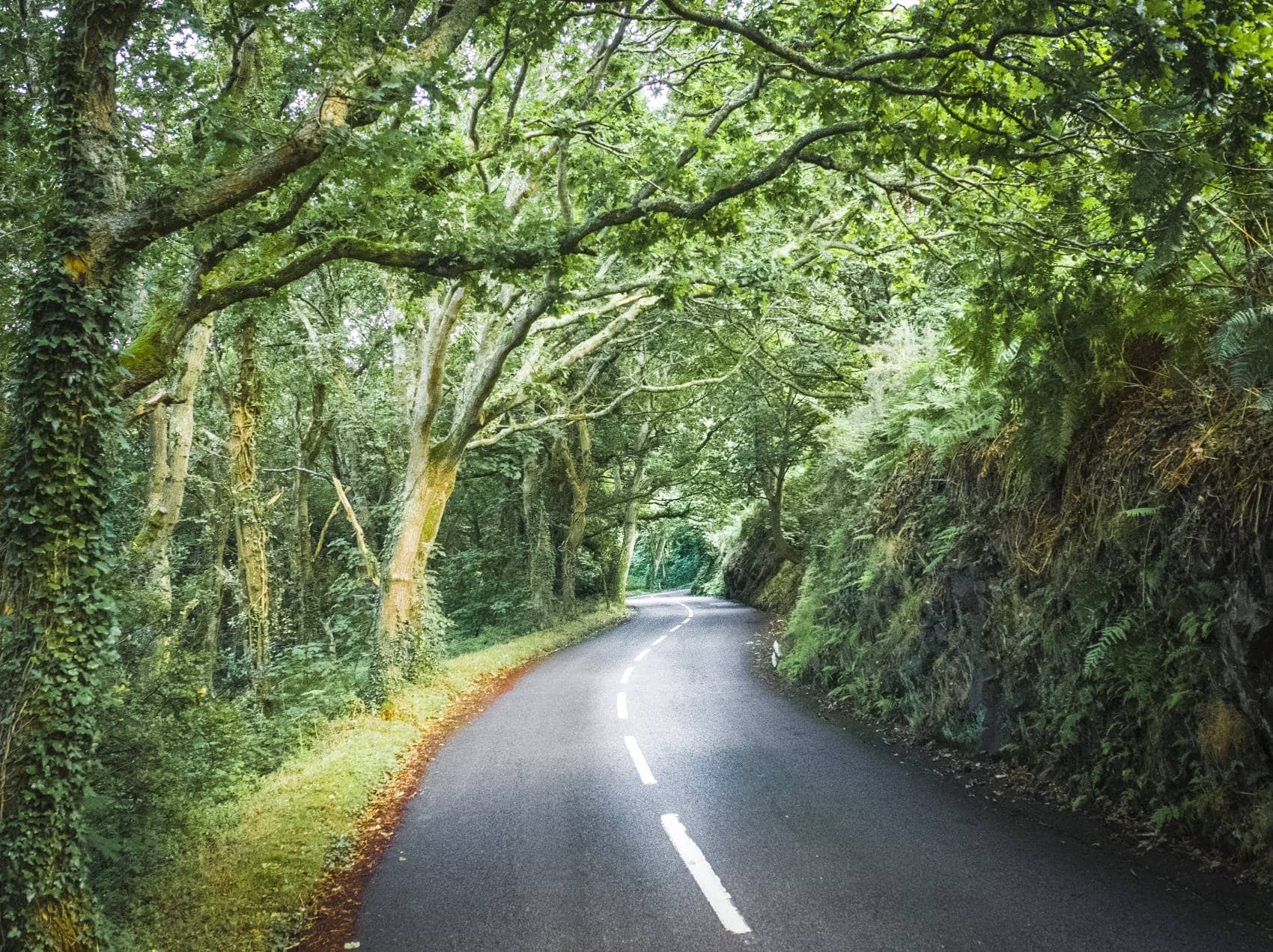 Enge Landstraße auf der Insel Jersey