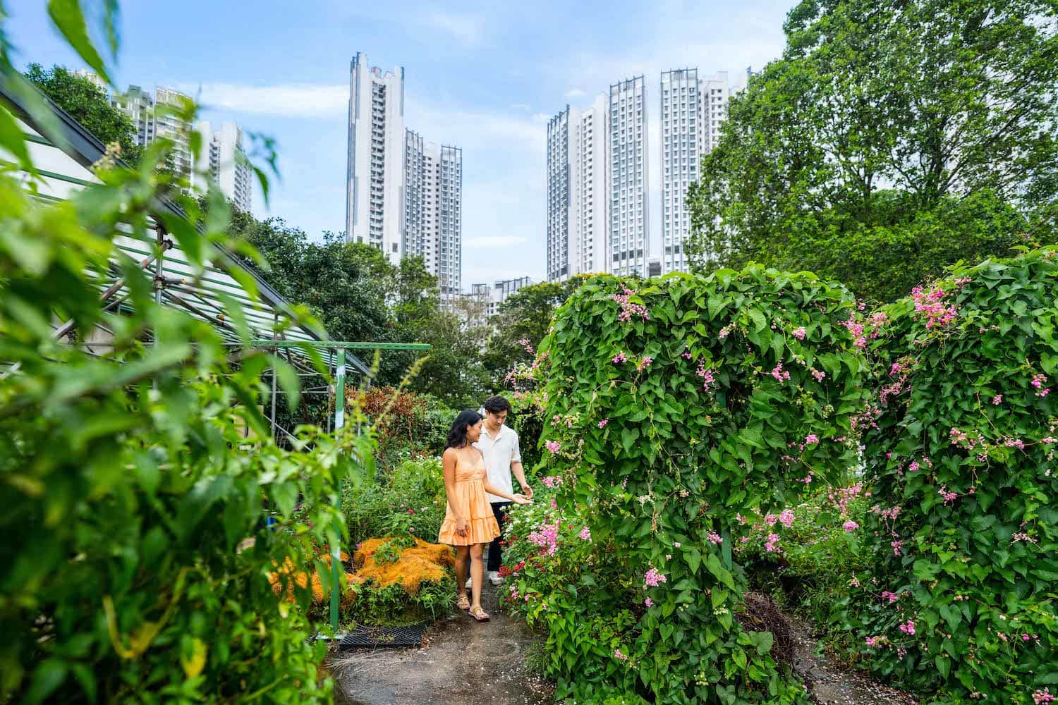 Dachgarten der Initiative »Edible Garden City« I Singapur