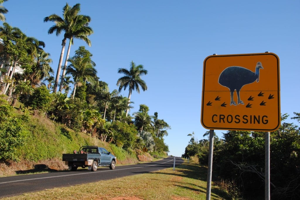 Tipps für Selbstfahrer in Queensland