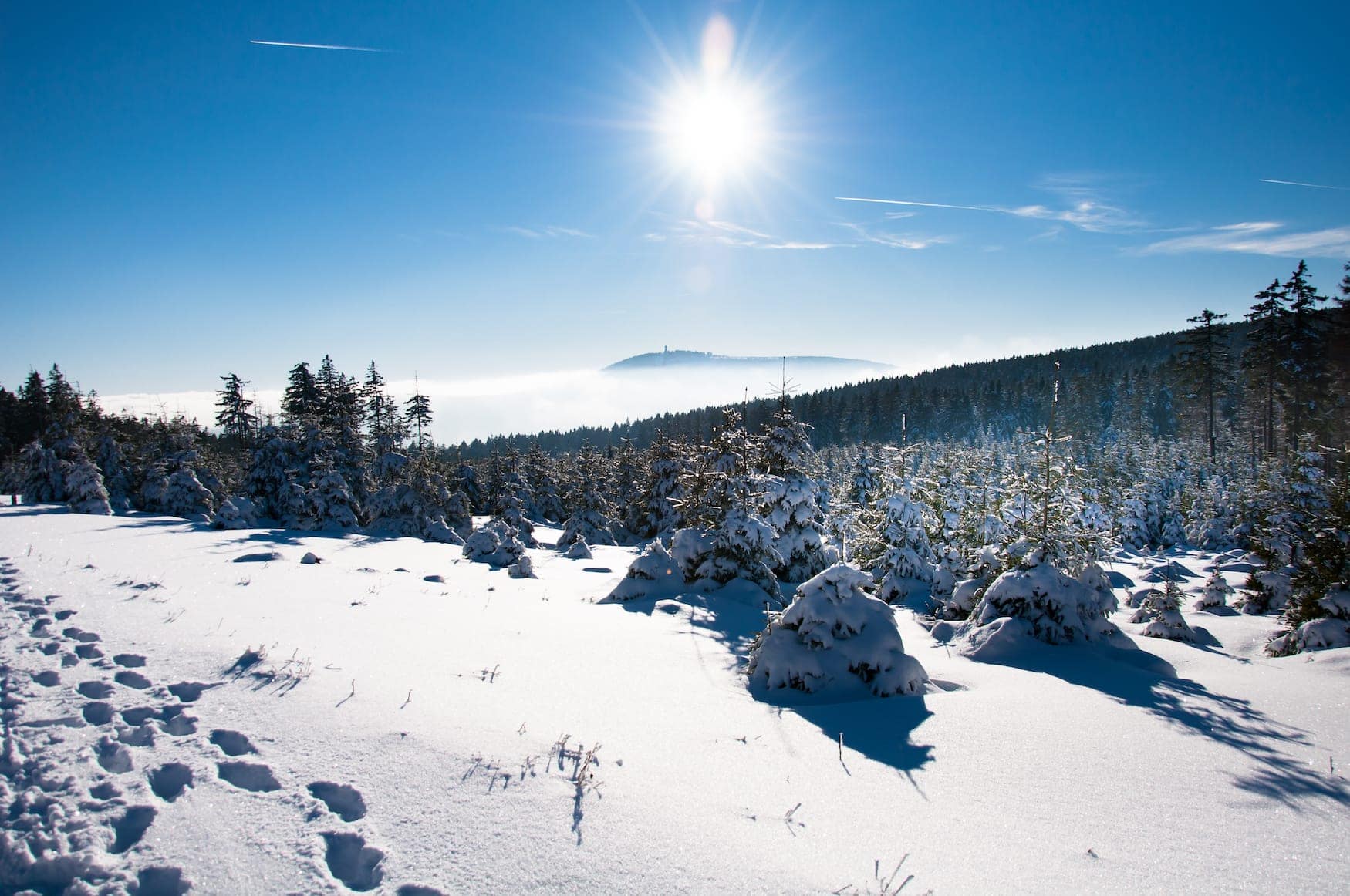 Sonne scheint über verschneiten Gipfeln im Harz, Deutschland