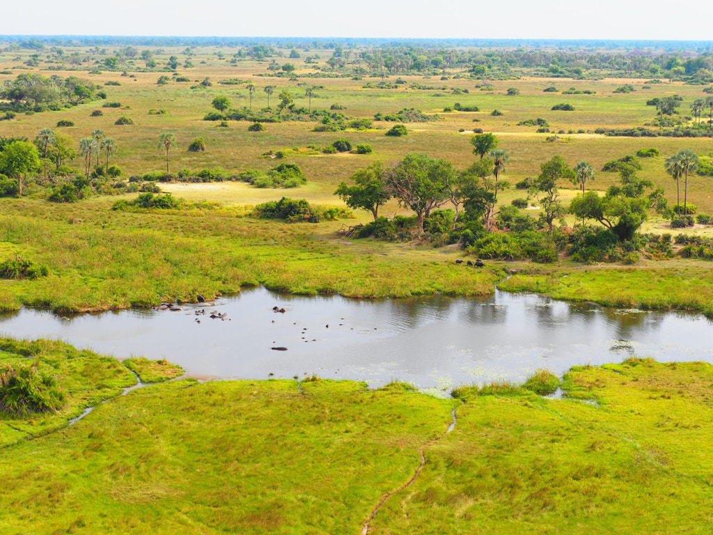 Botswana von oben