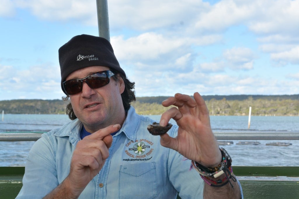 aptain Sponge und die Sydney Rock Oyster