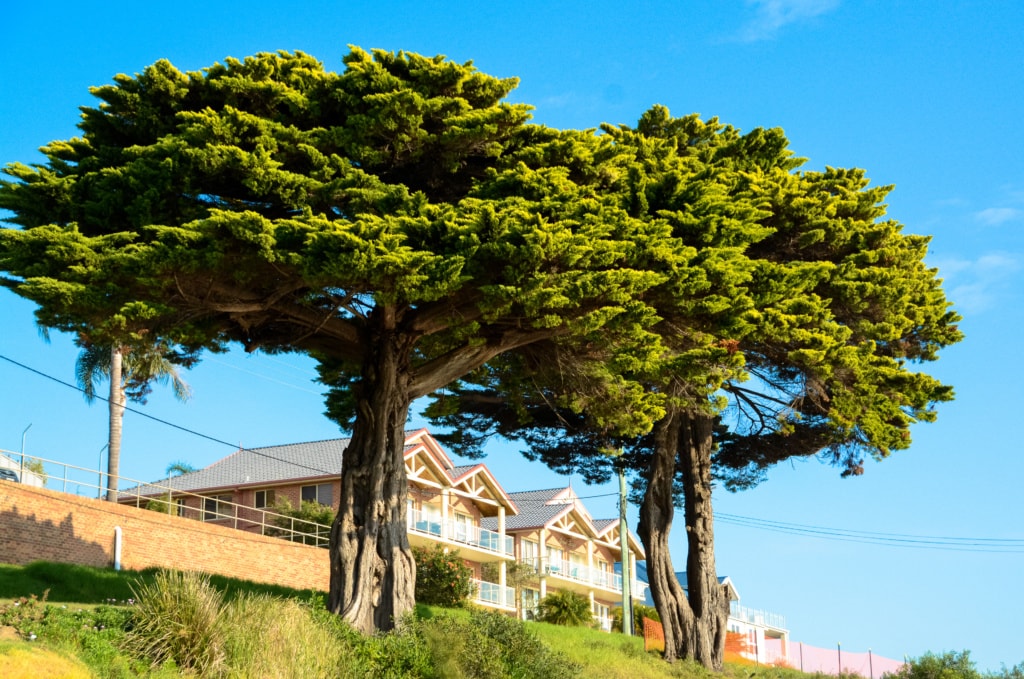 Ort Narooma in New South Wales