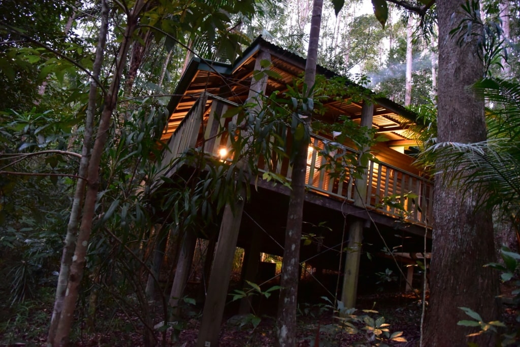 Narrows Escape Rainforest Retreat - Queensland