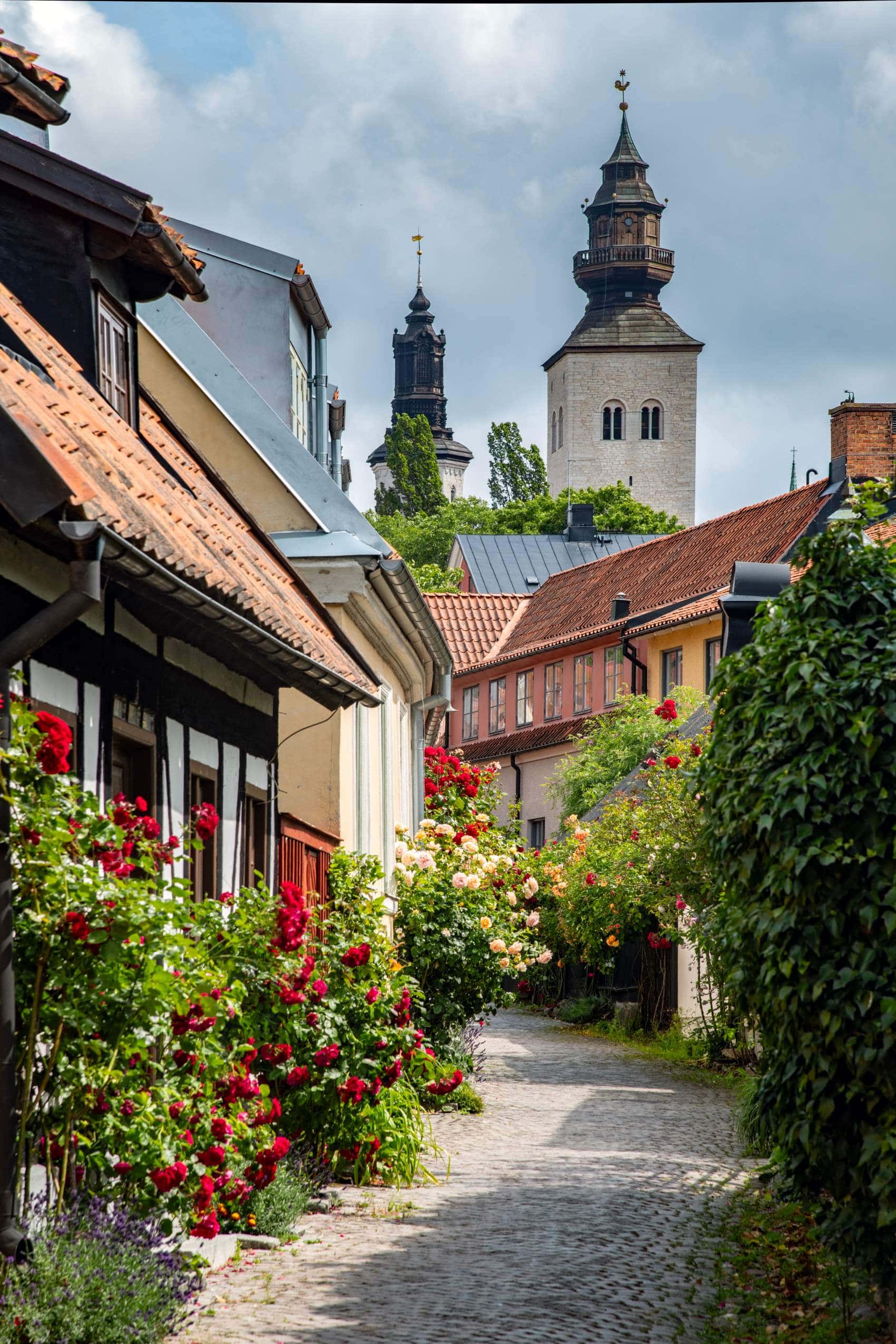 Gasse in Visby auf Insel Gotland in Schweden 