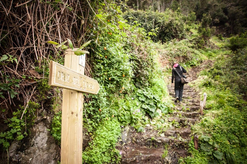 Anaga-Gebirge auf Teneriffa: Wandern nach Cruz del Carmen