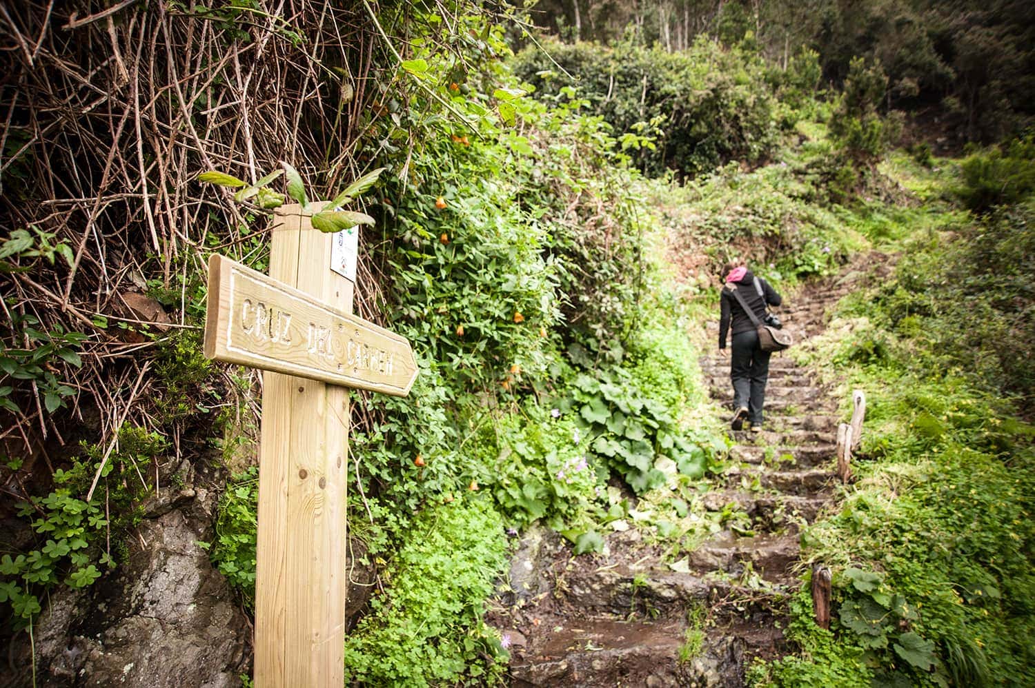 Anaga-Gebirge auf Teneriffa: Wandern nach Cruz del Carmen