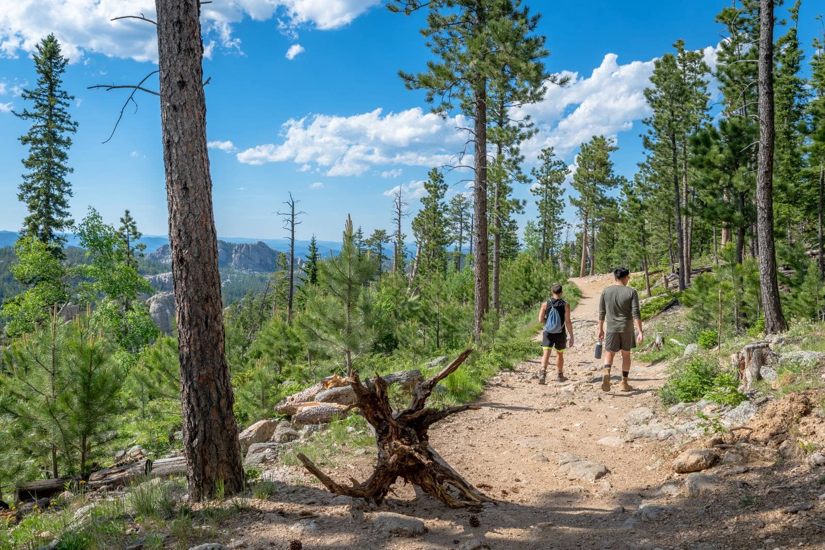 Wanderer auf dem Gipfel zum Black Elk Peak in South Dakota 
