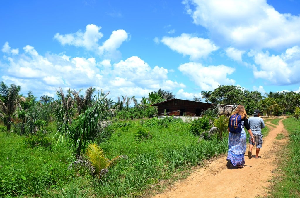 Naturparadies Surinam