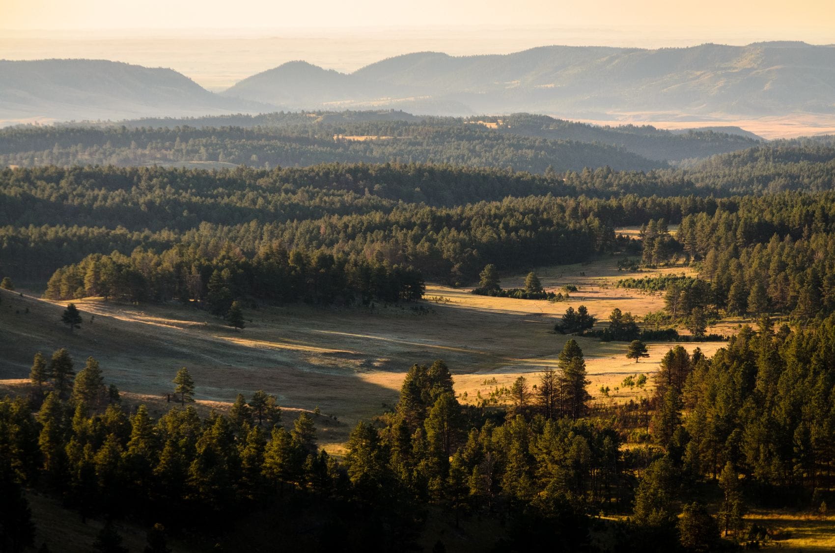 Landschaft im Wind Cave National Park in South Dakota 