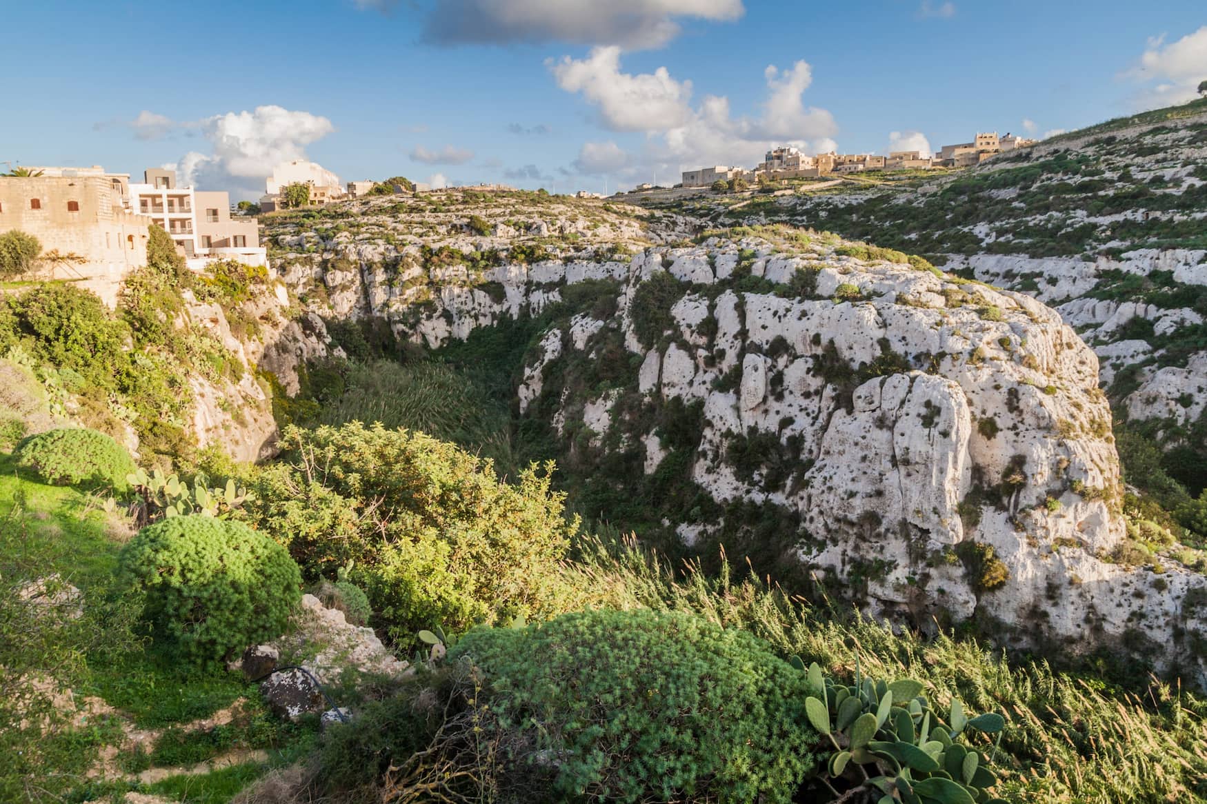Grüne Landschaften auf Gozo