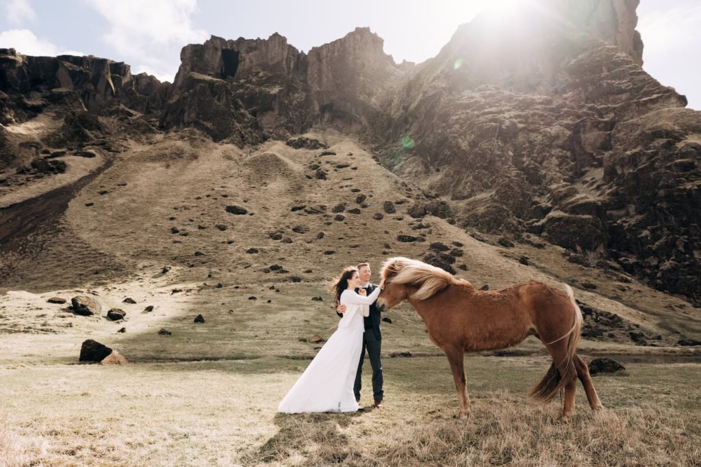Ein Hochzeitspaar streichelt auf Island ein Pferd.