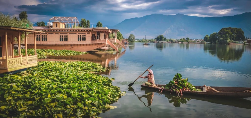 Boot im Dal Lake in Srinagar, Indien