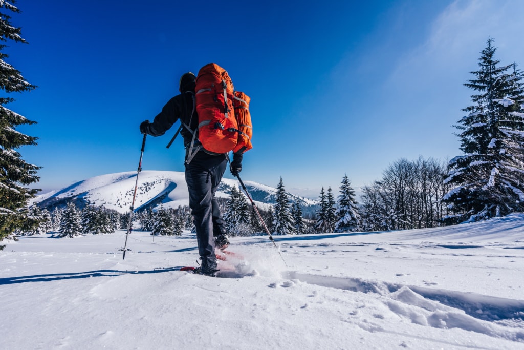 Mann von hinten beim Schneeschuhwandern